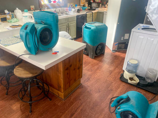 Carpet water damage restoration in Luck, WI