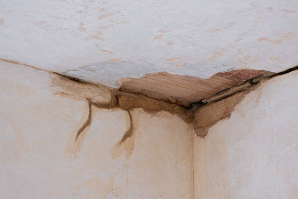 Best Sewage cleanup and water damage restoration  in Luck, WI