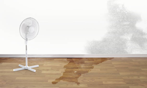 Local water damage restoration in Luck, WI