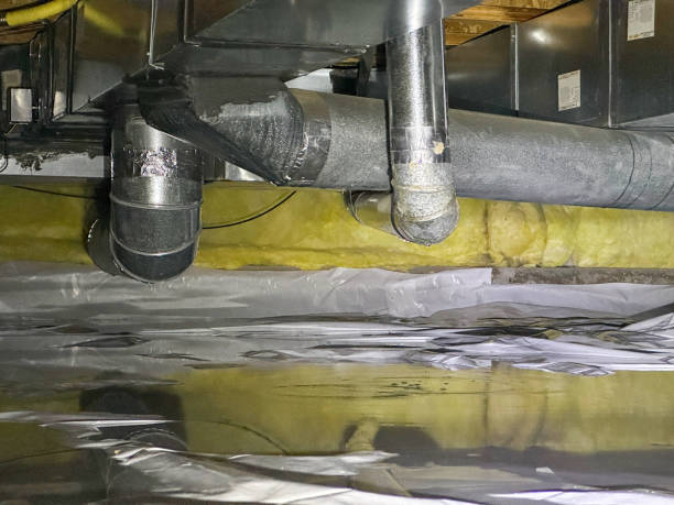 Best Carpet water damage restoration  in Luck, WI