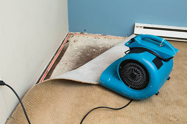 Sewage cleanup and water damage restoration in Luck, WI