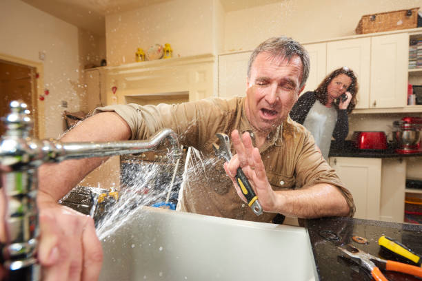 Best Professional water damage repair  in Luck, WI
